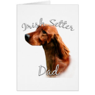 Irish Setter Vater 2