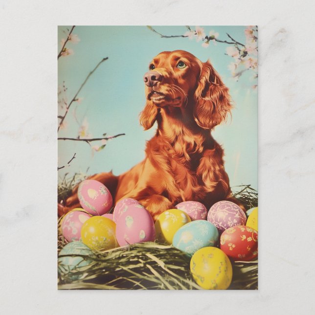 Irish Setter Vintag Oaster Postkarte (Vorderseite)