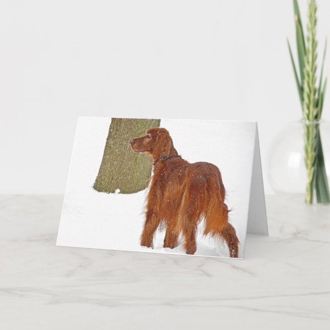 Irish Setter Winter Geburtstag Karte (Vorderseite)