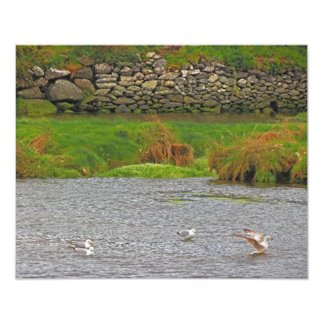 Irish Spring #2 Fotodruck (Vorne)