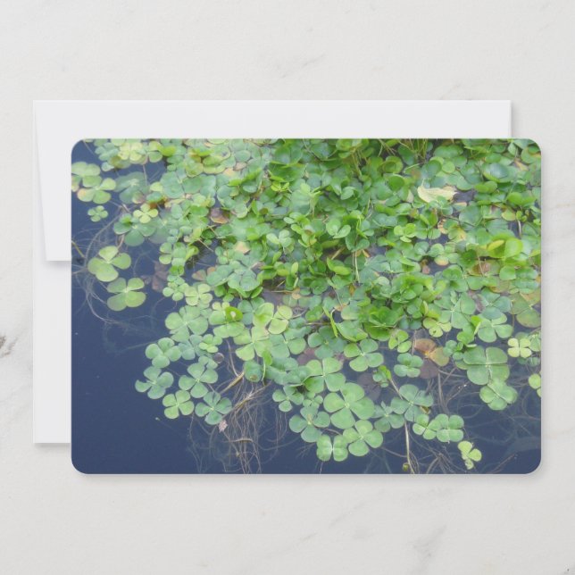 Irish Spring Clover Hochzeit Einladung (Vorderseite)