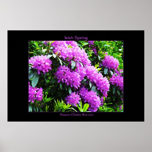 Irish Spring Poster Print (Vorne)