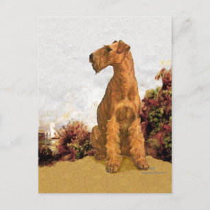 Irish Terrier an der Meeresküste Postkarte