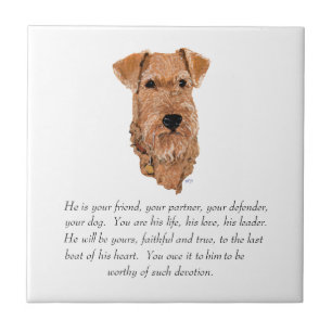 Irish Terrier Andenken - Männlich Fliese