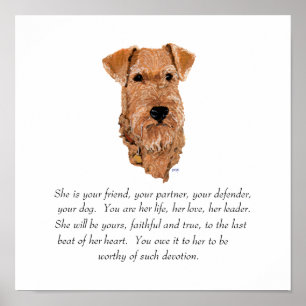 Irish-Terrier-Andenken - Weiblich Poster