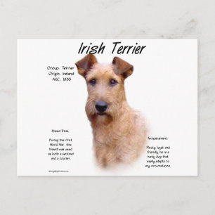 Irish Terrier History Design Postkarte