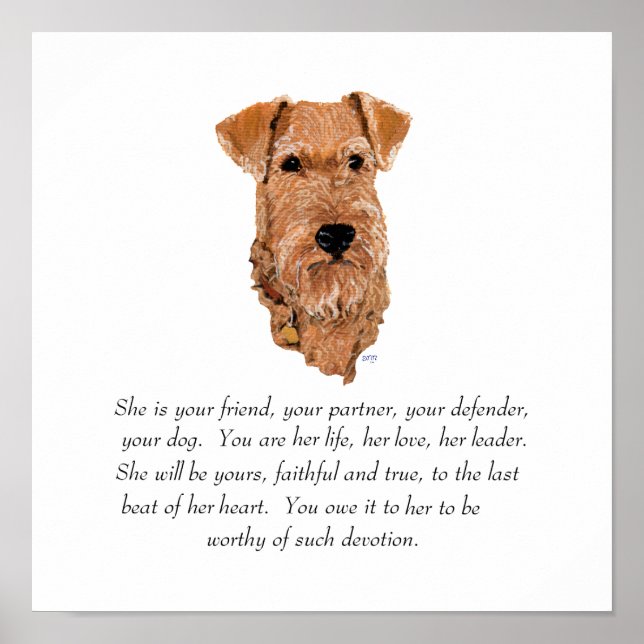 Irish Terrier Keepake - Female Poster (Vorne)