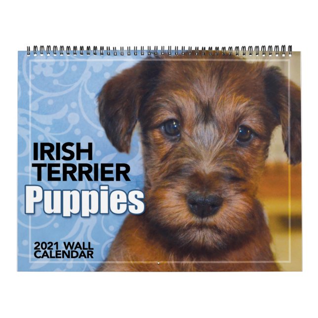 Irish Terrier Puppies 2021 Wall Calendar Kalender (Titelbild)