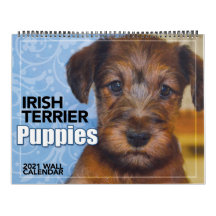 Irish Terrier Puppies 2021 Wall Calendar