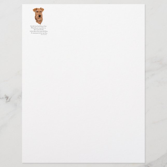 Irish Terrier Rainbow Bridge (Vorderseite)