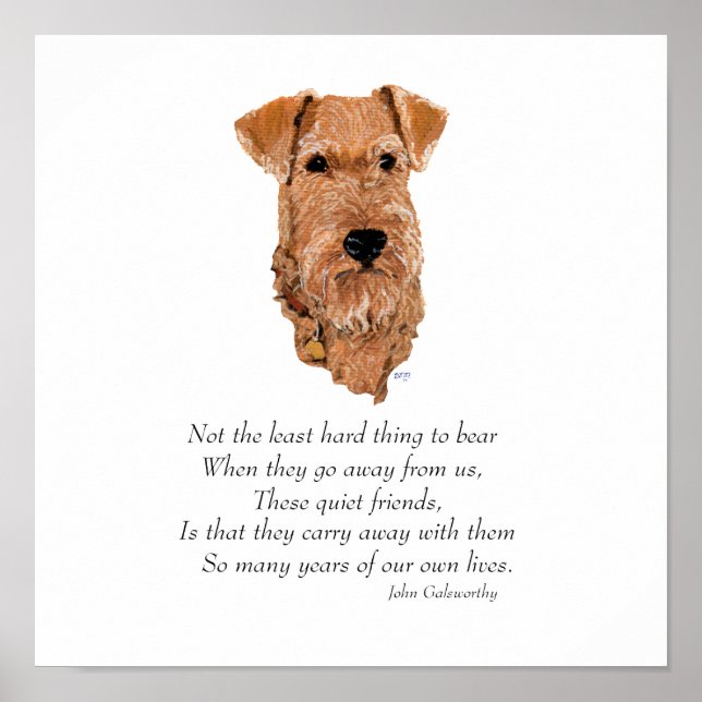 Irish Terrier Rainbow Bridge Poster (Vorne)