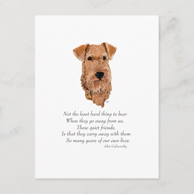 Irish Terrier Rainbow Bridge Postkarte (Vorderseite)