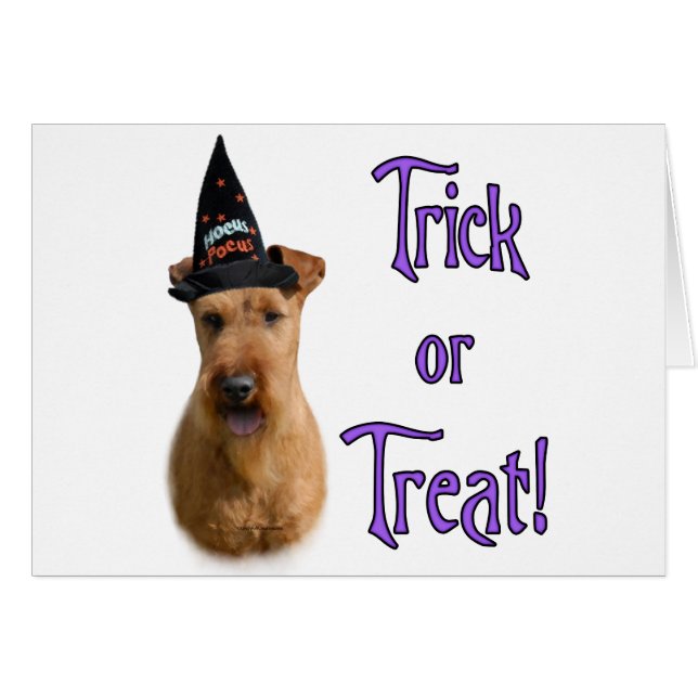 Irish Terrier Trick (Vorderseite (Horizontal))