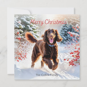 Irish Water Spaniel im Schnee Winter Frohe Weihnac Feiertagskarte