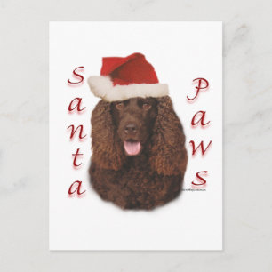 Irish Water Spaniel Santa Pfoten Feiertagspostkarte