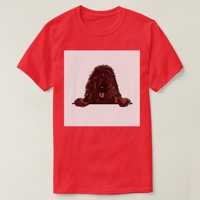 Irish Water spaniel T-Shirt (Design vorne)