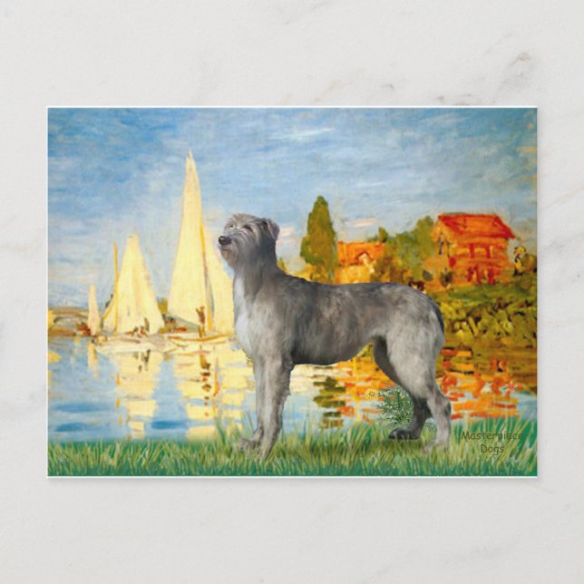 Irish Wolfhound 2 - Segelboote 2 Postkarte (Vorderseite)