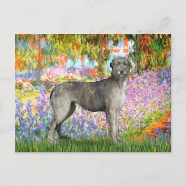 Irish Wolfhound 3 - Garten Postkarte (Vorderseite)