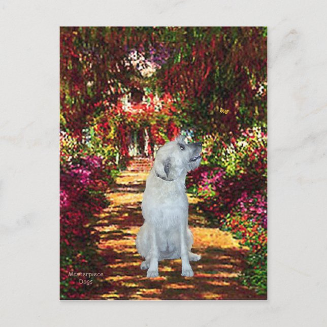 Irish Wolfhound 4 - Der Weg Postkarte (Vorderseite)
