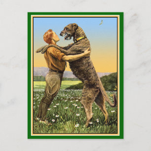 "Irish Wolfhound Begrüßung" Postkarte