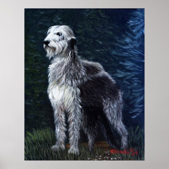 Irish Wolfhound Dog Portrait Poster (Vorne)