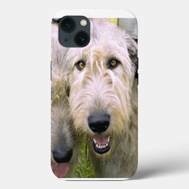 Irish Wolfhound Foto Case-Mate iPhone Hülle (Rückseite)
