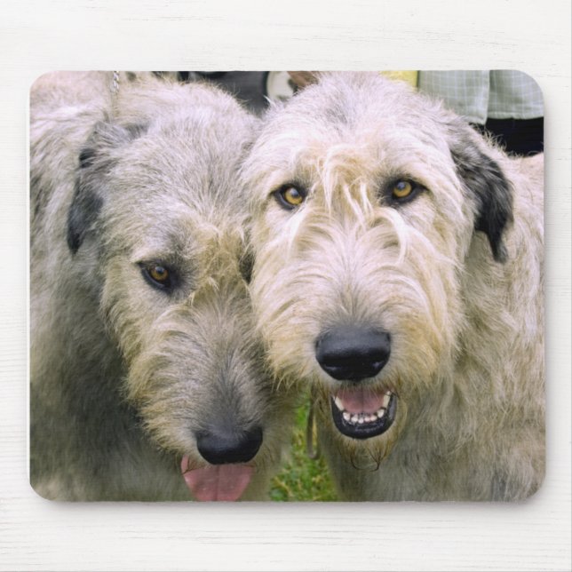 Irish Wolfhound Foto Mousepad (Vorne)