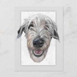 Irish Wolfhound handgezeichnet Porträtkarte Postkarte