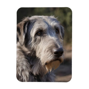 Irish Wolfhound ich bin nicht erstaunt, Magnet