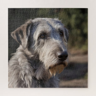 Irish Wolfhound ich bin nicht erstaunt, Puzzle