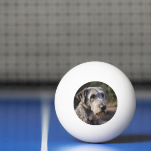 Irish Wolfhound ich bin nicht erstaunt, Tischtennisball