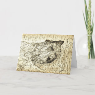Irish Wolfhound "Lass schlafende Hunde liegen" Kar Karte
