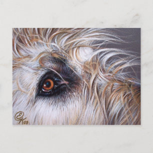 Irish Wolfhound Postkarte