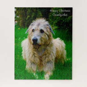 Irish Wolfhound. Puzzle