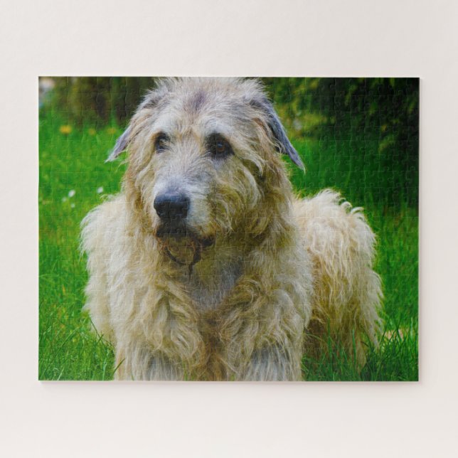 Irish Wolfhound. Puzzle (Horizontal)
