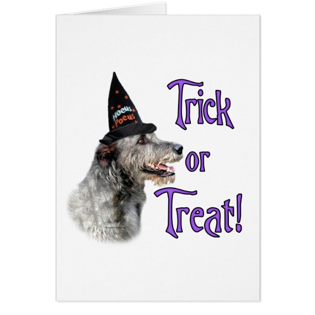 Irish Wolfhound Trick (Vorne)
