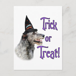 Irish Wolfhound Trick Postkarte