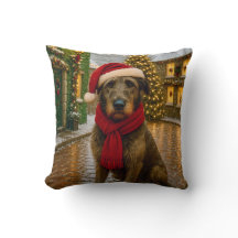 Irish Wolfhound Urlaub