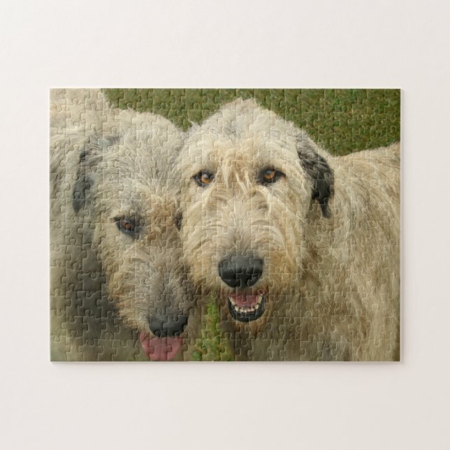 Irish Wolfhounds Foto Puzzle (Horizontal)