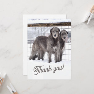 Irish Wolfhounds in Snow Einladung