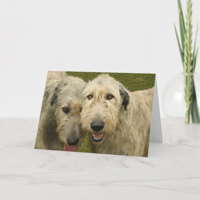 Irish Wolfhounds Karte (Vorderseite)