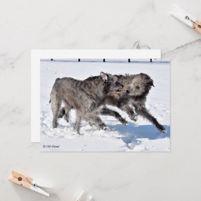 Irish Wolfhounds rennen in Snow Einladung (Vorderseite/Rückseite Beispiel)