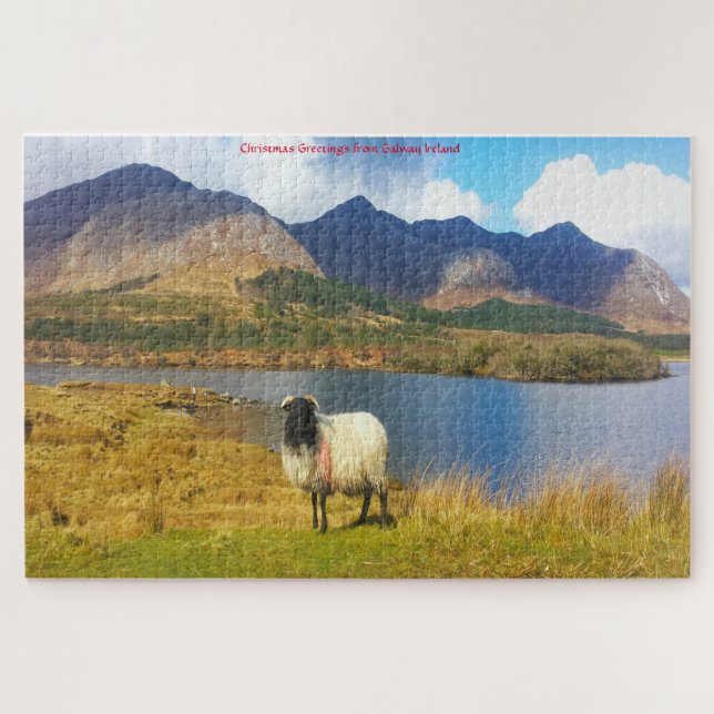 Irish Wooly Sheep Galway Irland. Jigsaw Puzzle (Horizontal)