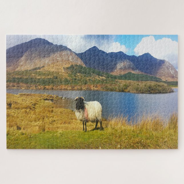 Irish Wooly Sheep Galway Irland. Puzzle (Horizontal)