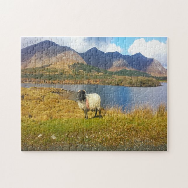 Irish Wooly Sheep Galway Irland. Puzzle (Horizontal)