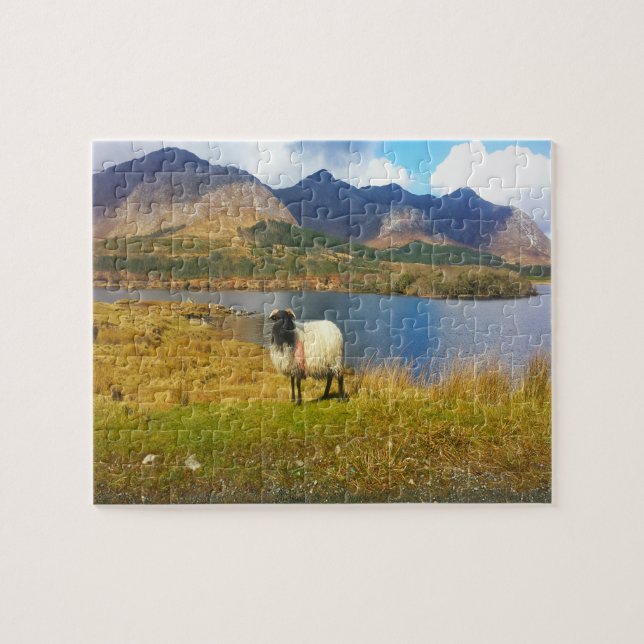Irish Wooly Sheep Galway Irland. Puzzle (Horizontal)