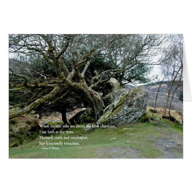 IrishTrees (Vorderseite (Horizontal))