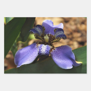 Irisverpackungspapier Geschenkpapier Set