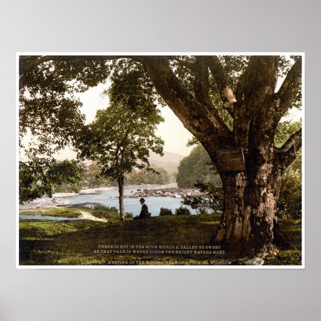 Irland, Avoca Wicklow, Meeting of Waters Gedicht Poster (Vorne)