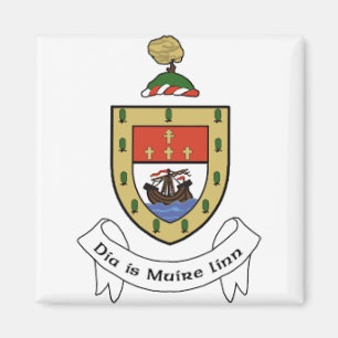Irland County Mayo Magnet